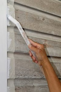 to brush 2787994 1280